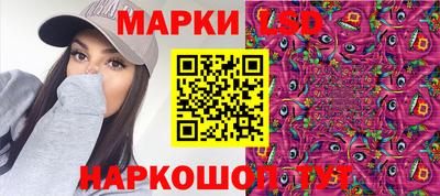 ECSTASY Гатчина
