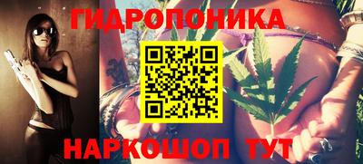 не бодяженный Гай